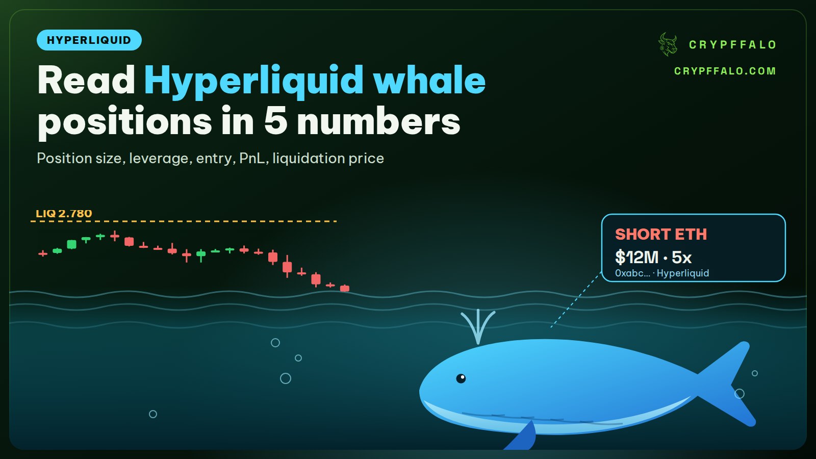 Hyperliquid Whale Tracker: Read Whale Positions in 5 Numbers