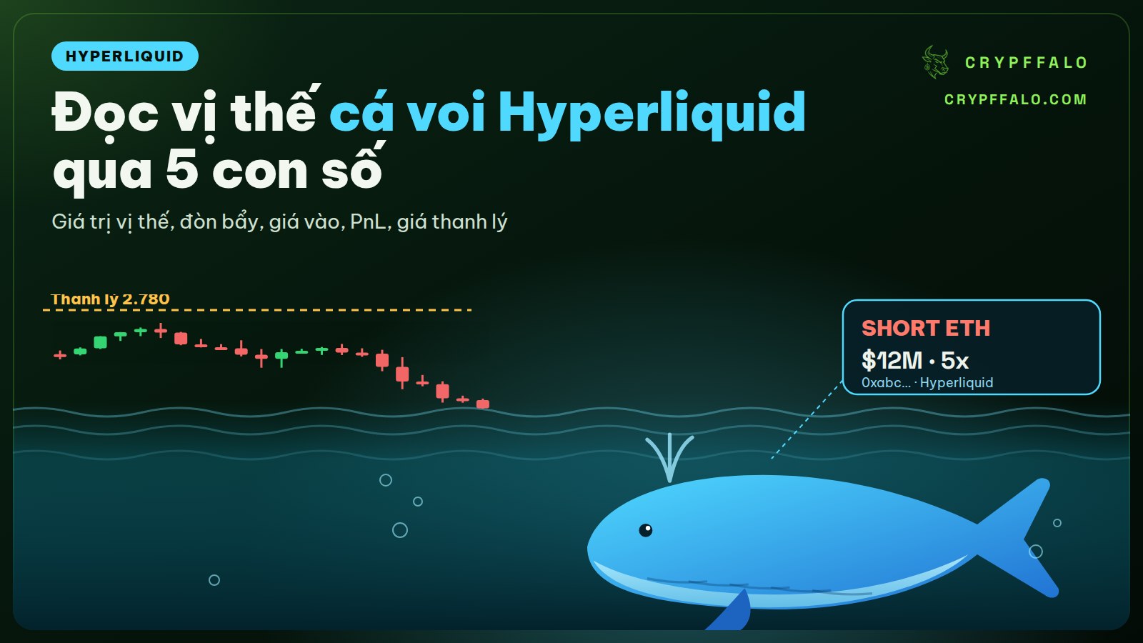 Hyperliquid whale tracker: đọc vị thế cá voi qua 5 con số