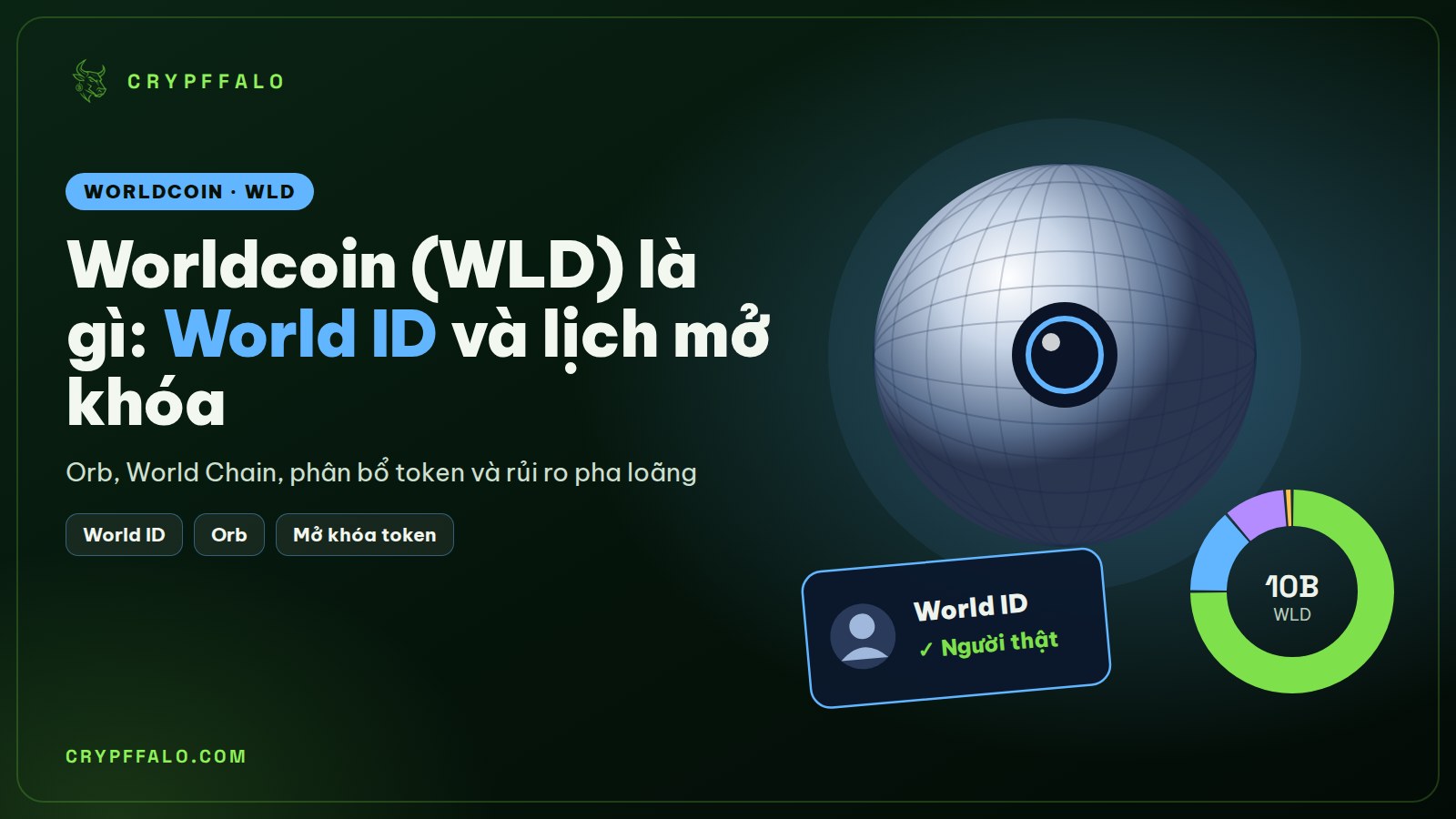 Worldcoin (WLD) là gì? World ID, Orb và lịch mở khóa token