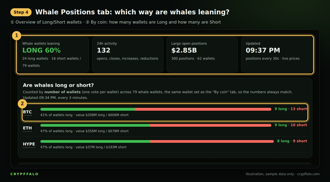 Step 4: Long/Short share of whale wallets by coin