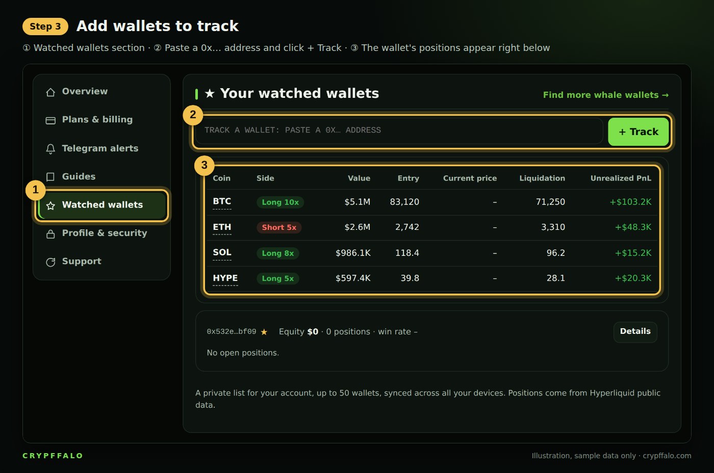 Step 3: paste a wallet address to add it to your watchlist