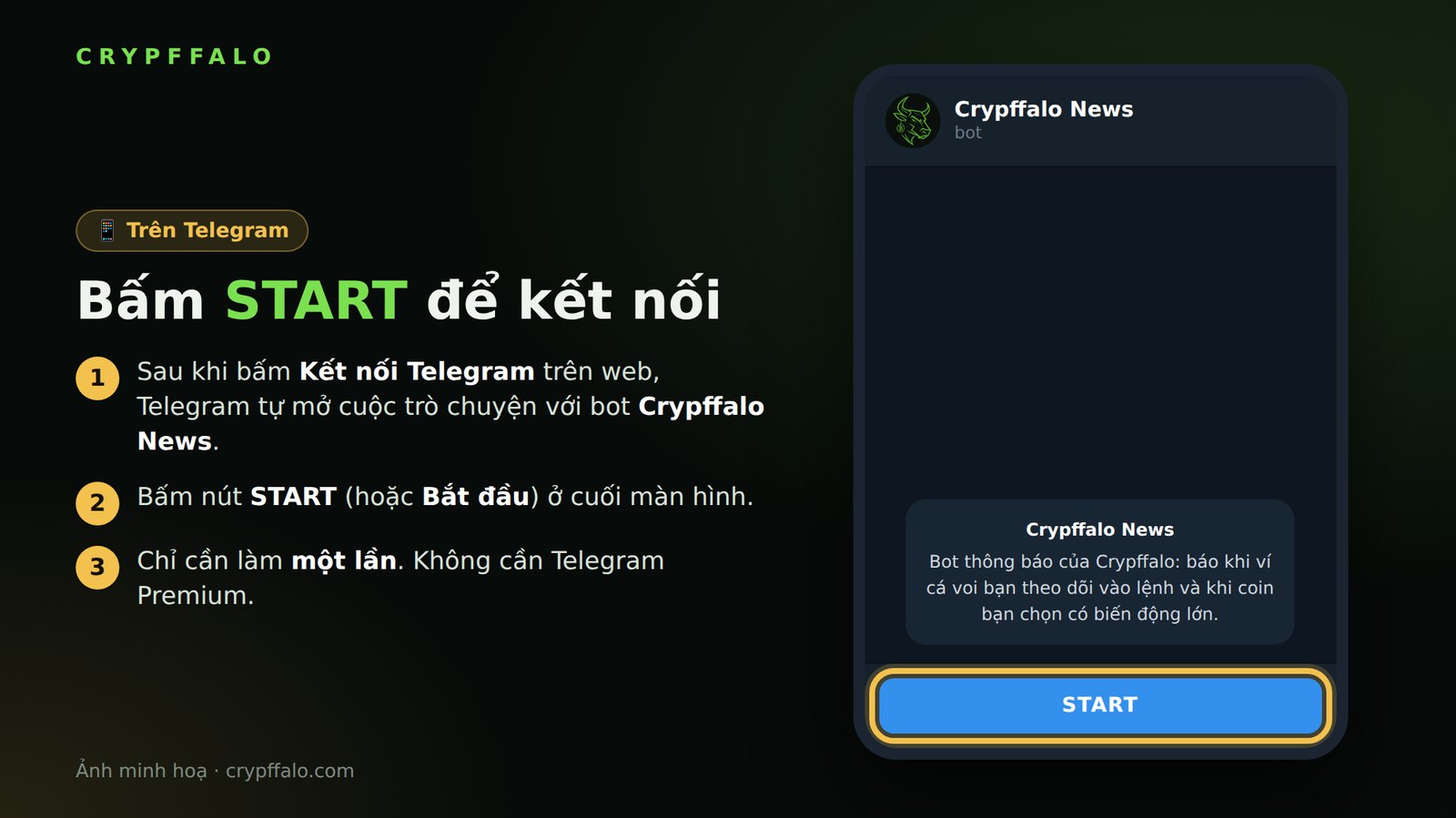 Bước 2: bấm START trong cuộc trò chuyện với bot