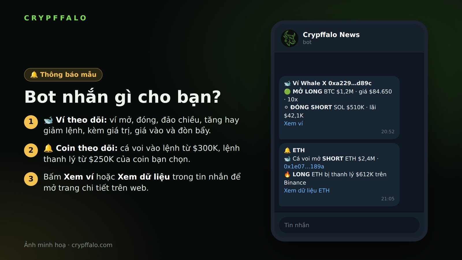 Mẫu tin nhắn bot gửi khi ví cá voi vào lệnh và khi coin có biến động