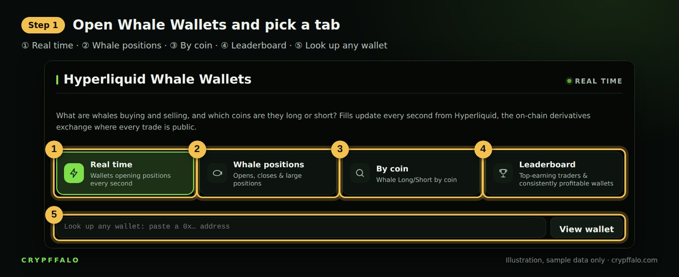Step 1: the 4 tabs of the Whale Wallets section and the wallet lookup box