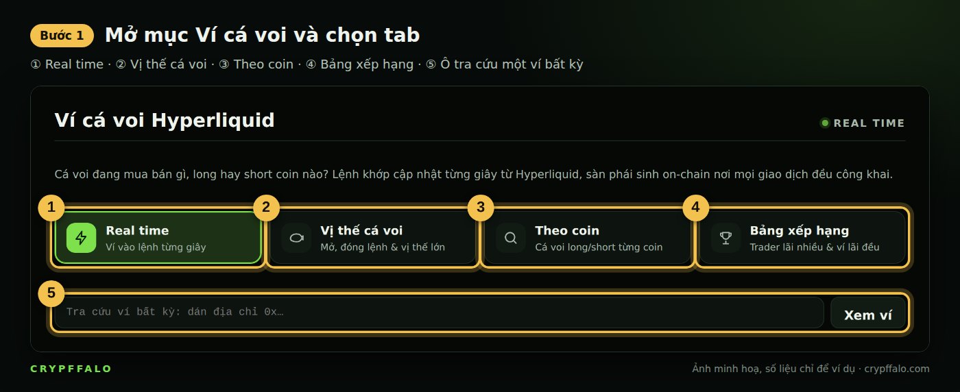 Bước 1: 4 tab của mục Ví cá voi và ô tra cứu ví