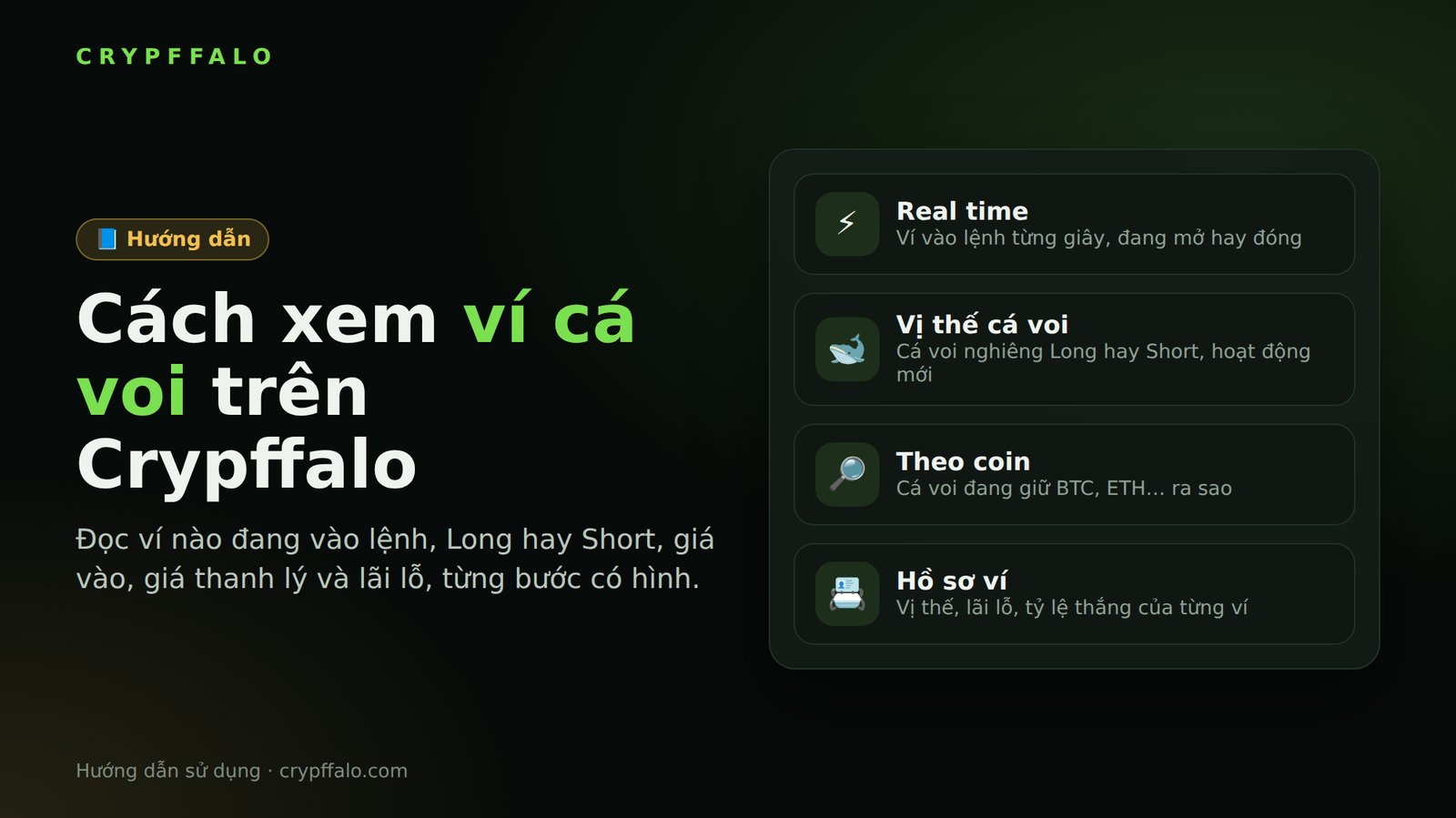 Hướng dẫn xem ví cá voi trên Crypffalo: đọc lệnh real time, vị thế, theo coin và hồ sơ ví