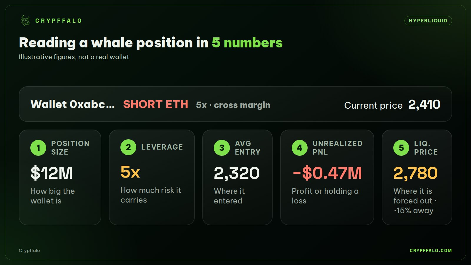 Example whale position on Hyperliquid and the 5 numbers to read (illustrative figures).