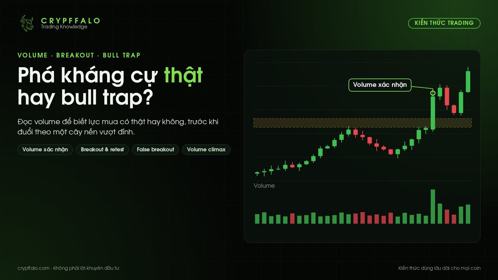 Volume và breakout: cách phân biệt phá kháng cự thật hay bull trap trong crypto