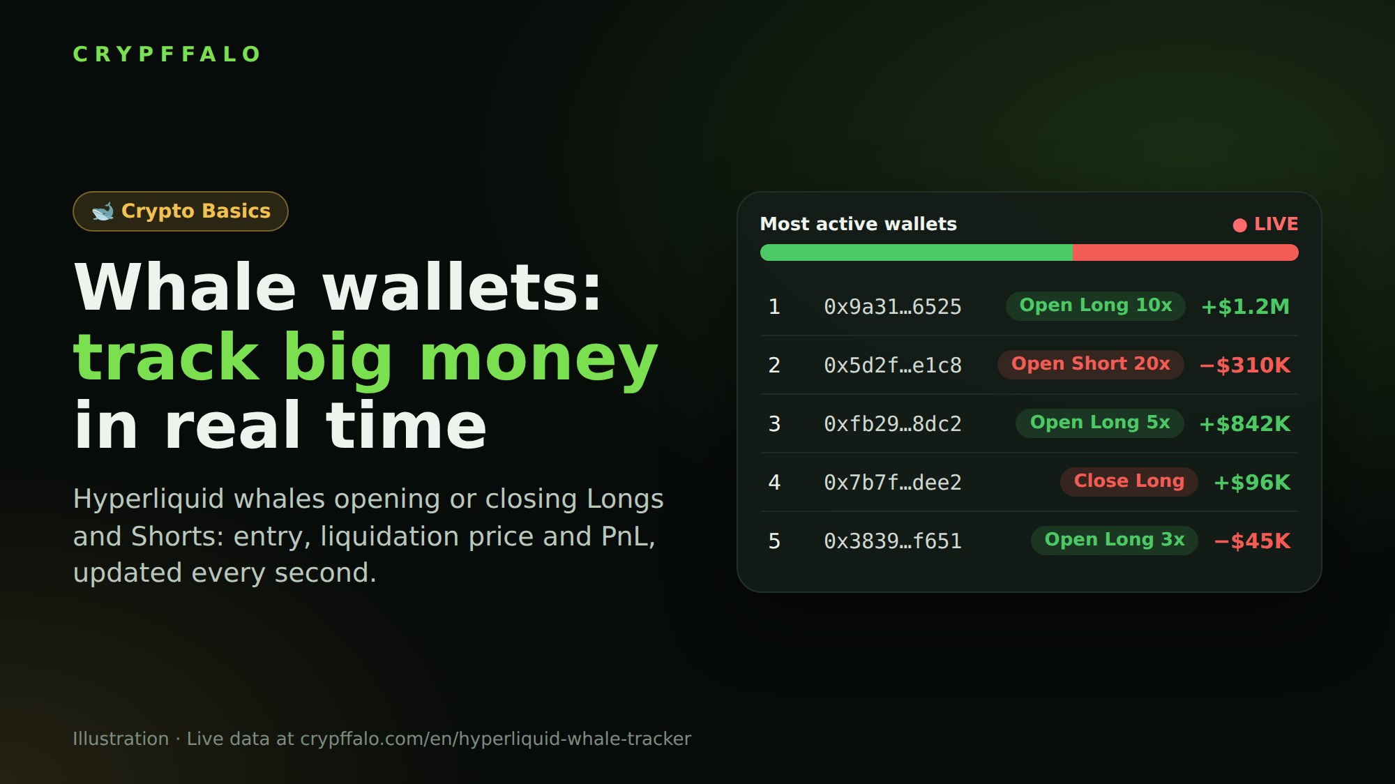 What Is a Whale Wallet? How to Track Hyperliquid Whales in Real Time